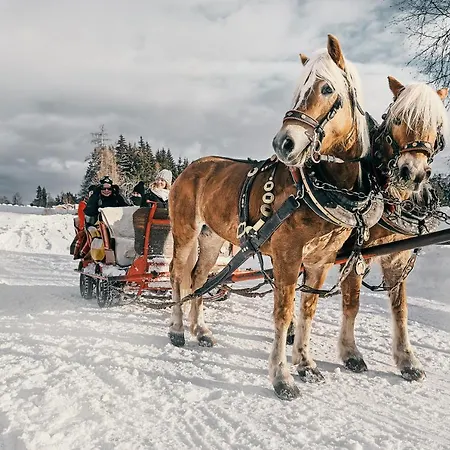 Stockerwirt Ξενοδοχείο