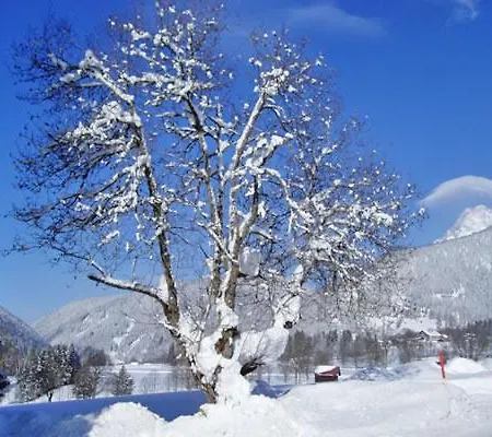 Ξενοδοχείο Stockerwirt Ramsau am Dachstein