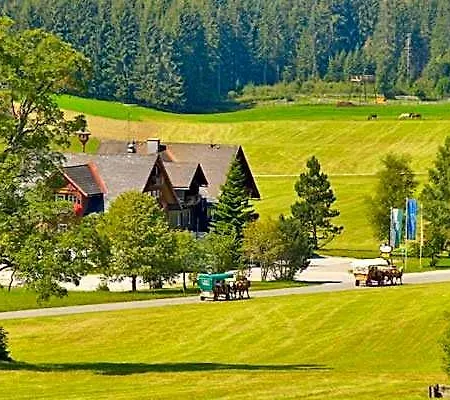Ξενοδοχείο Stockerwirt Ramsau am Dachstein
