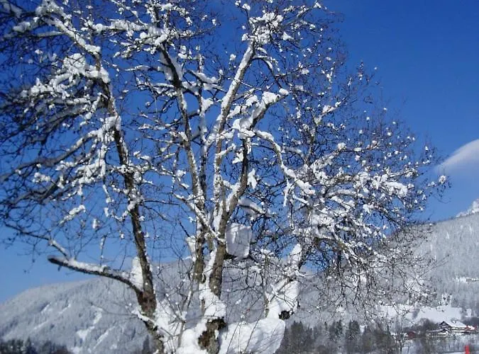 Szálloda Stockerwirt Ramsau am Dachstein